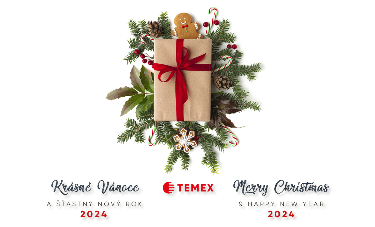 PF2024_TEMEX