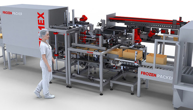 Packing and palletizing line