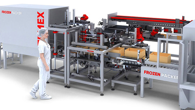 Packing and palletizing line