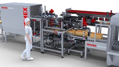 Packing and palletizing line